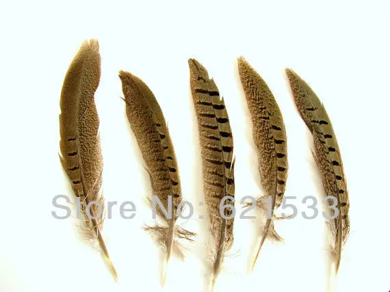 

100Pcs/Lot Nature Ringneck Pheasant Tail Feathers 4-6" 10-15cm Length Ringneck Pheasant Tails