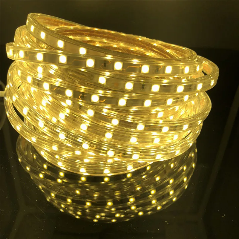 Tira de luces LED Flexible IP67 5050 AC220V 60leds/m cinta de luz LED impermeable IP67 con enchufe de alimentación de la UE 1M/2M/3M/5M/10M/15M/20M