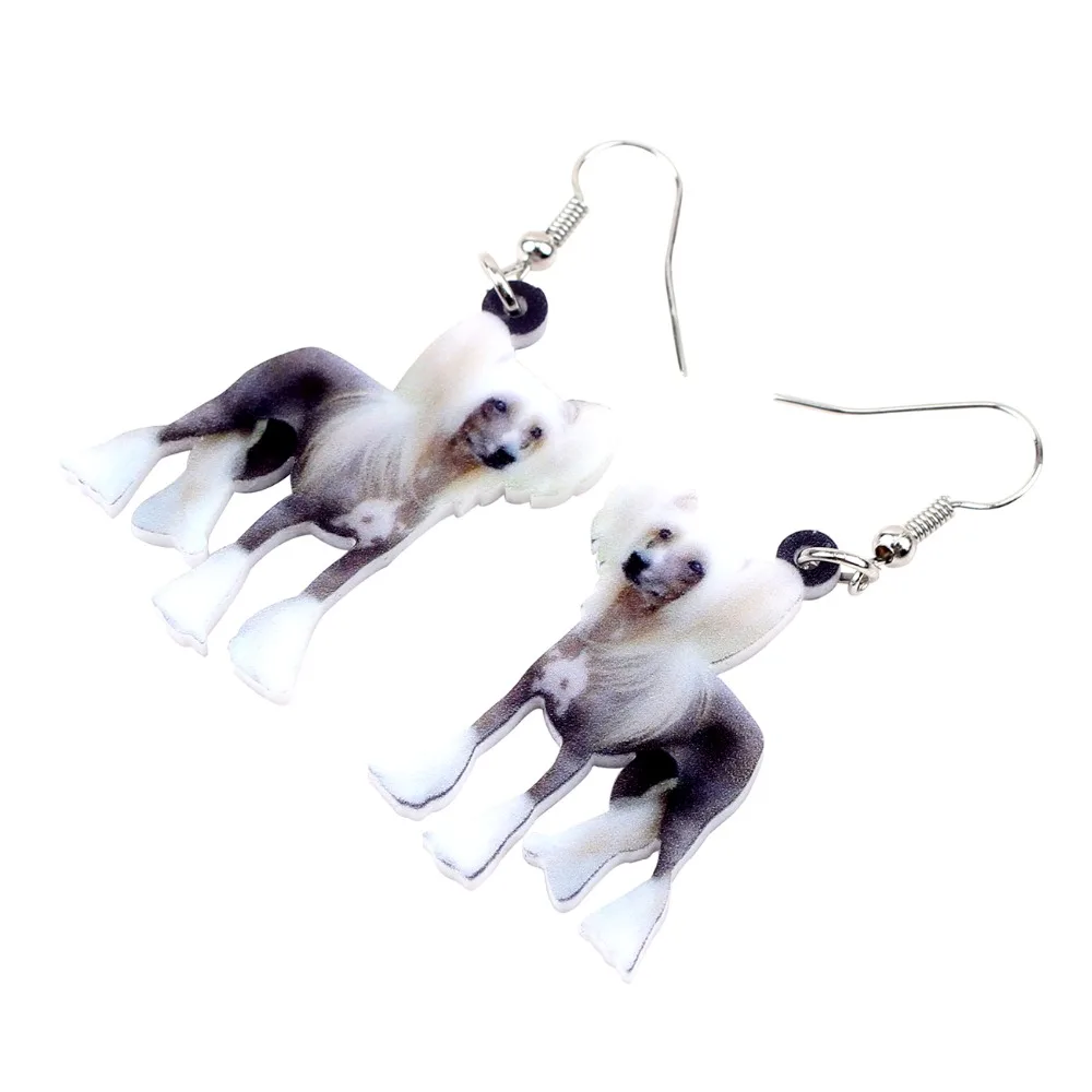 Bonsny Acrylic Elegant Chinese Crested Dog Earrings Big Long Dangle Drop Animal Jewelry For Women Girls Ladies Teens Accessory