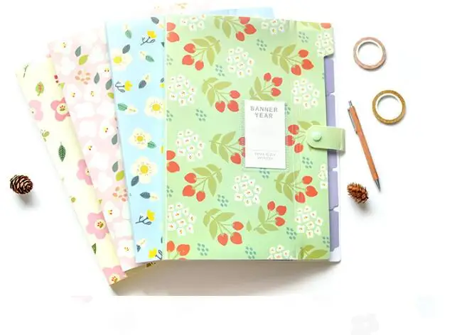 A4 Folder Lovely 8 Slots Plastic