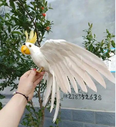 artificial bird about 45x60cm white feathers Cockatoo spreading wings parrot handicraft prop,home garden decoration gift p2221