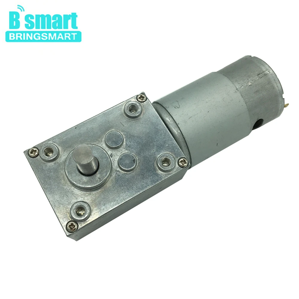 Bringsmart Mini Worm DC Motor With Self Locking Gearbox A58SW-555 DC 12v 24v Low Speed Reducer Motor 16-470rpm Reduction Machine