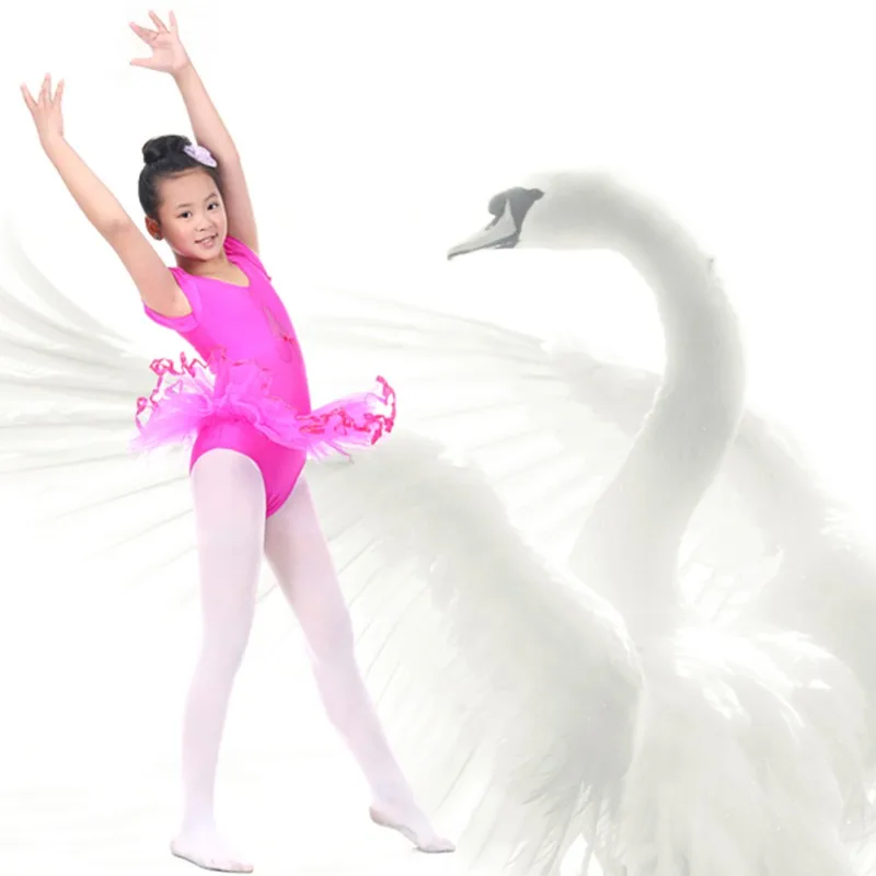 Vestido de baile de manga corta para niñas, leotardo de tutú de Ballet de gimnasia de entrenamiento, 4 tamaños