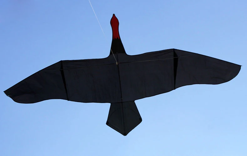 Neue Kommen Im Freien Spaß Sport 3 m Schwarz Schwan Kite/Tier Drachen Mit Griff & Linie Gute Fliegen