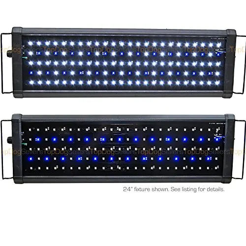 Beamswork LED Pent 24 0.50W Timer Aquarium Light Freshwater Marine FOWLR 60cm