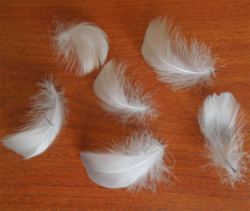 

200PCS/LOT 4-6cm LOOSE Light Grey GOOSE COQUILLE FEATHERS,Grey Goose Feathers for Bridal Accessories, Fascinators & more