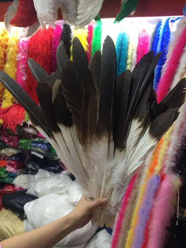 Perfect a sets carce natural golden eagle feathers 12-20inch /30-50cm