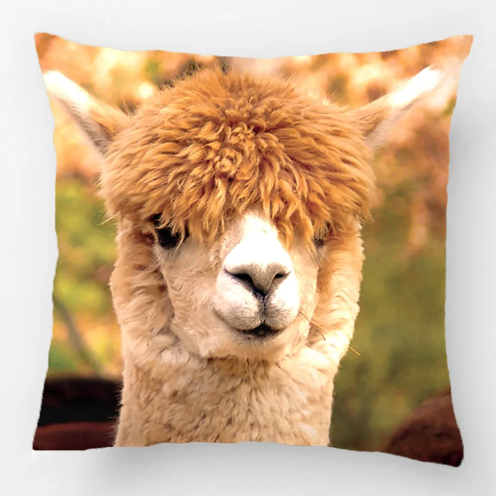 

Alpaca Pillow Belle Wedding Decorative Cushion Cover Pillow Case Customize Gift High-Quility By Lvsure For Sofa Seat Pillowcase