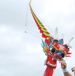 Outdoor Fun 20m big kite chinese traditional dragon kite line fly ferramenta paper kite ladybug huge kite kevlar 3d kite owl