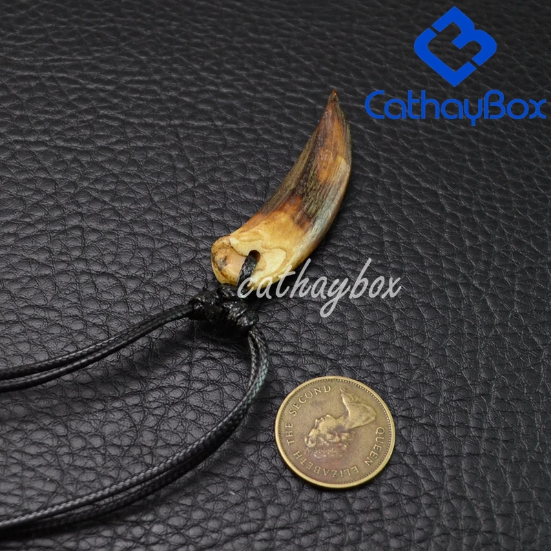 خمر نظرة بني داكن التبت القبلية تصميم الخام تمثال خنزير بري الأسنان حلية قلادة قلادة CB03B006 #6