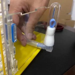 mini's nest'in en çok satan 7 ürünü, karınca, no. 1