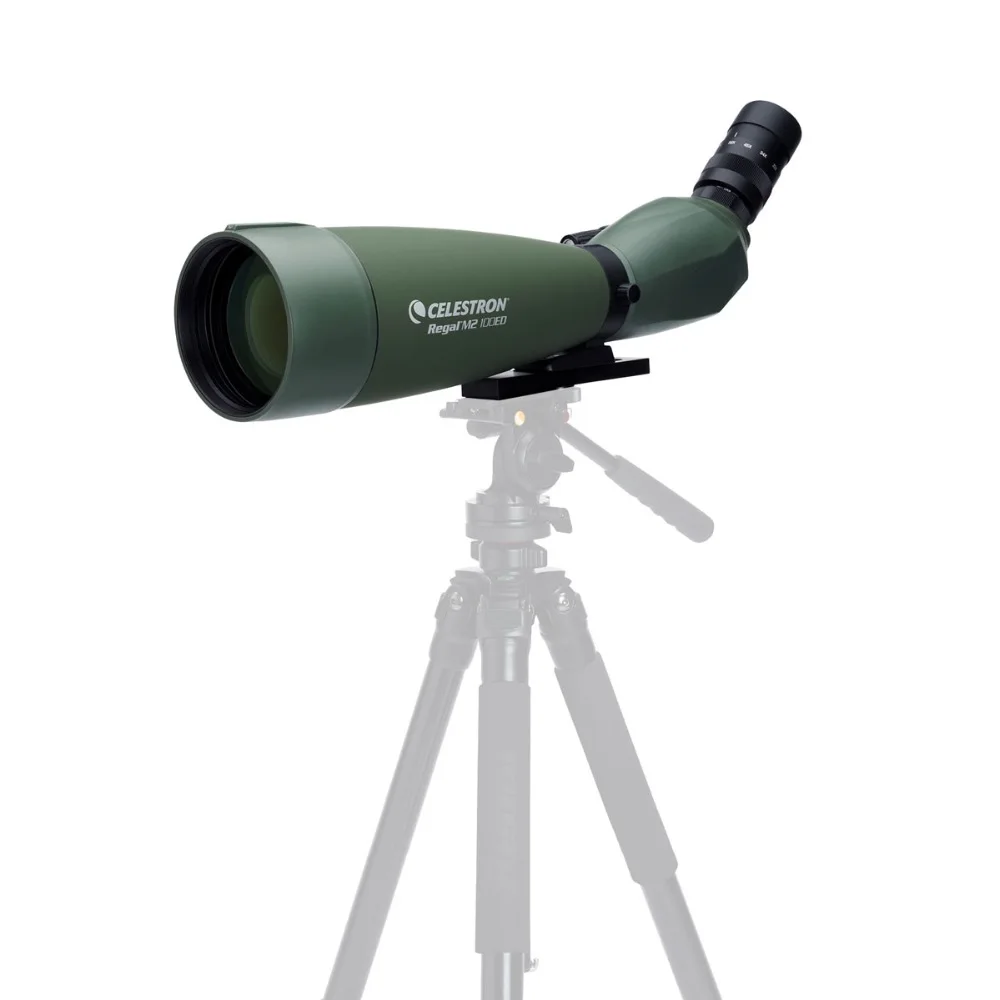 

Celestron REGAL M2 100 F-ED 45 градусов 22x-67x зум Зрительная труба телескоп с многослойным покрытием для наблюдения за птицами Охота путешествия