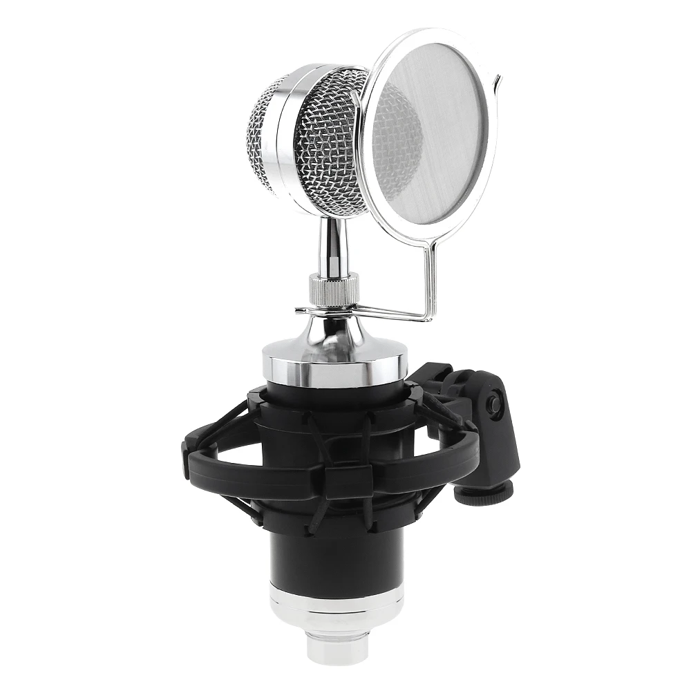 Profession CY-F2000 Condenser Sound Recording Microphone With Shock Mount For Radio Braodcast / Singing Recording / KTV