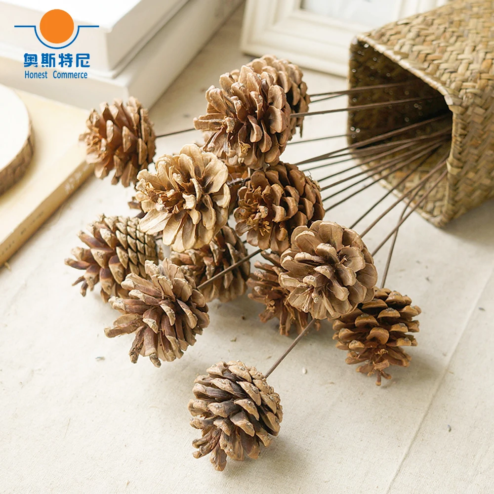 

10pcs dried naturally pine cone flower bouquets bunches