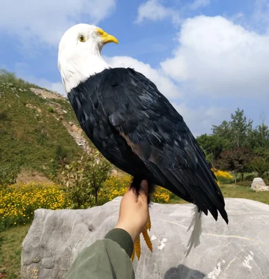 large 50x30cm feathers eagle bird polyethylene&feathers handicraft garden decoration prop, gift a2104