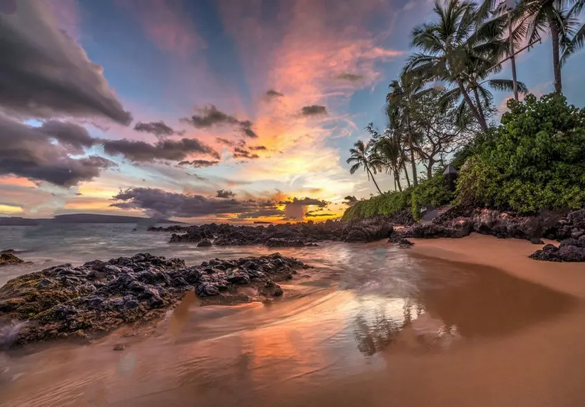 Hawaii Sunset Wonder Palm Tree Sea Beach photo backdrop  High quality Computer print wedding background