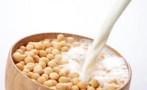 60 كجم/ساعة فول الصويا ماكينة الطحن فول الصويا ماكينة إعداد الحليب التوفو ماكينة