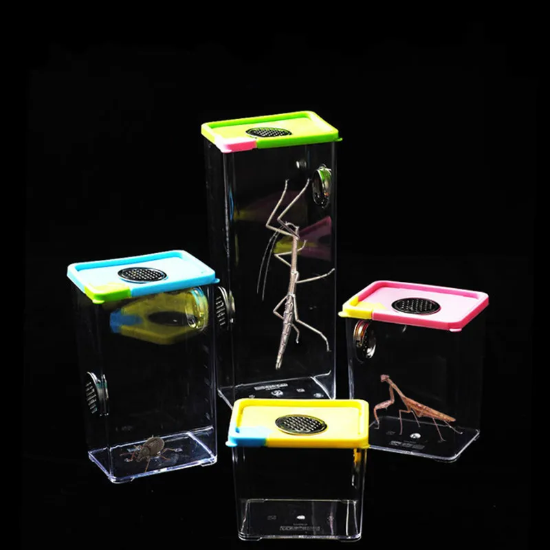 1PCS Spider Pet rearing box Praying Mantis jumping spider rearing box Wild picking box Climbing pet box insect