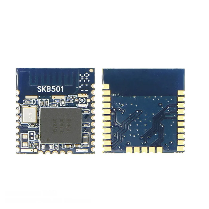 Nordic Offical Strategic Partner SKYLAB Long Distance/Range bluetooth 5 ble 5.0 nrf52 nrf52840 module, bluetooth dongle 5.0