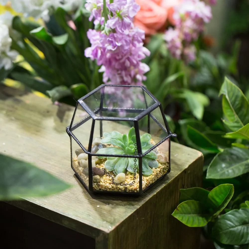 Tabletop Miniature Glass Geometric Terrarium Box Clear Glass Lid Small Succulent Plant Planter Flower Pot Garden Decorative Gift