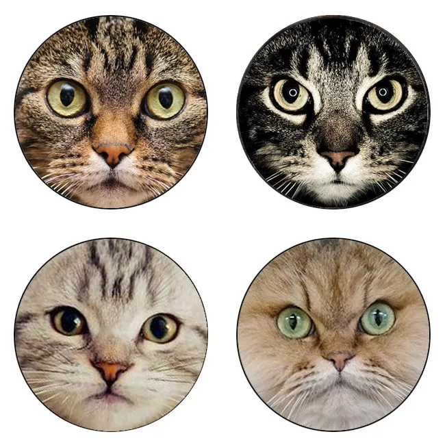 5pcs16mm20mm25mm black cat  for pet lovers Cat  with two ears Handmade Photo Glass Drop Style Cabochons Jewelry Accessories