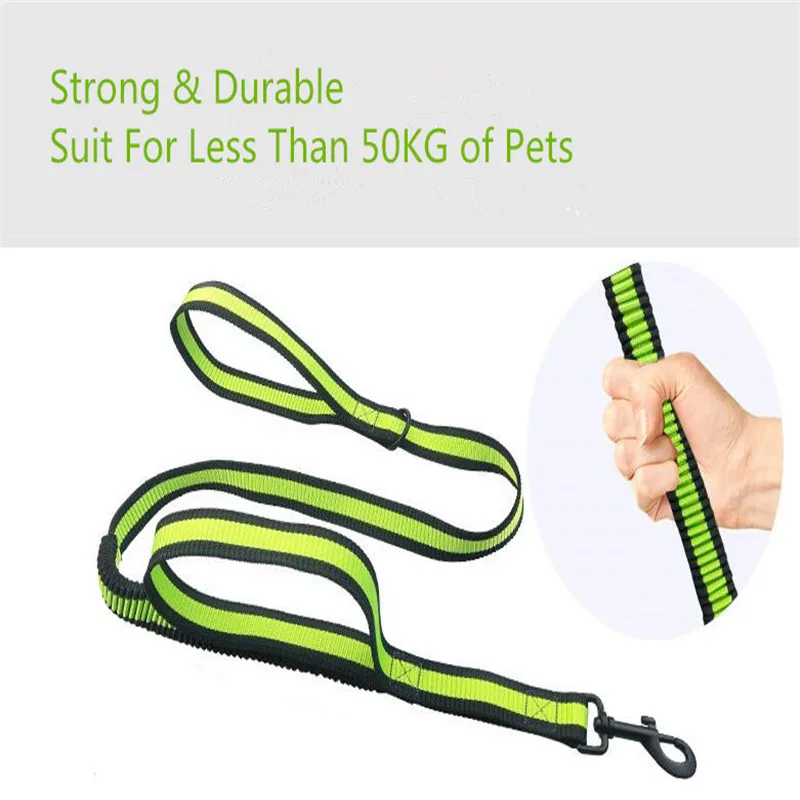 Elastic Dog Training Leash+Water-repellent Sports Arm Bags Portable Storage Durable Running Walking Leads For Small/Large Pets