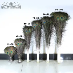 50pcs/LotTop Quality Peacock Feather 25-70CM Beautiful Natural Peacock Eye Feather DIY Jewelry Decorative Deco Accessories Plume