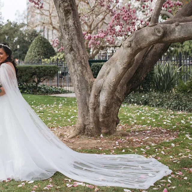 Cape Veil Lace Appliques on Shoulders Tulle Bridal Shoulder Veil in White/ Off White / Ivory /Champagne