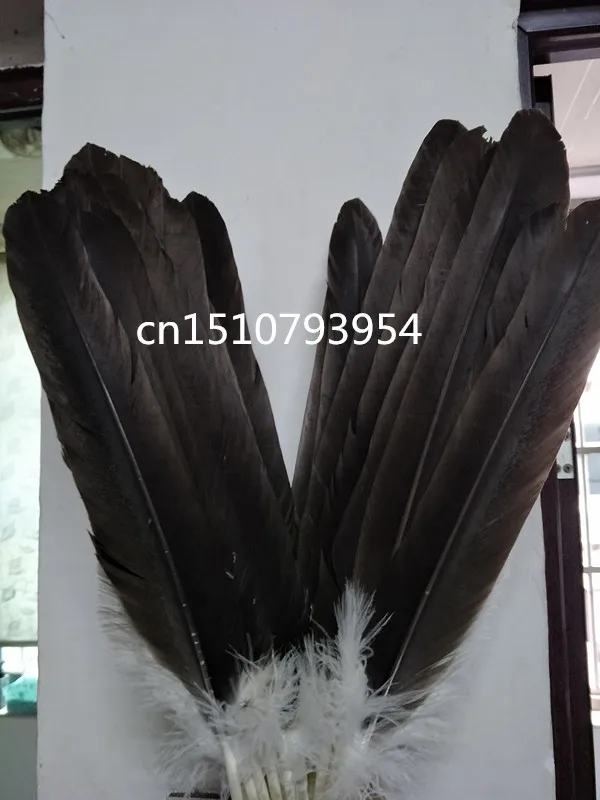 wholesale high quality 10pcs scare Natural big eagle feathers  40-50cm/16-20inch Decorative diy Jewelry accessories