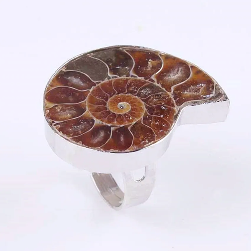 Trendy-beads Silver Plated Natural Ammonite Reliquiae Resizable Stone Finger Ring For Anniversary Jewelry