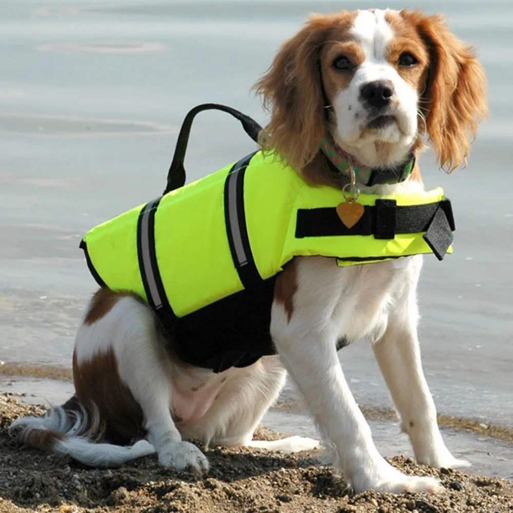 Pet Dog Life Vest Summer Printed Pet Life Jacket Dog Safety Clothes Dogs Swimwear Pets Safety Swimming Suit Chaleco Salvavidas