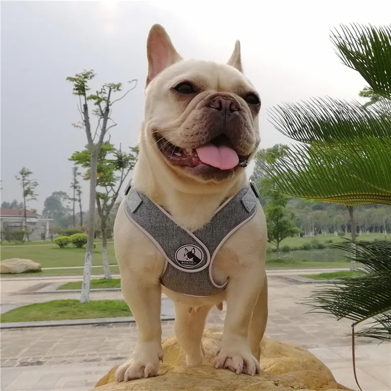 No Pull Sport X5 Dog Harness Reflective Pet Harness for Small Medium Dogs Breathable Protective Dog Harness Vest Easy Control