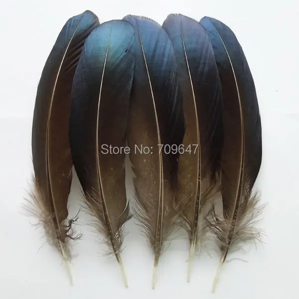 

100Pcs/Lot!8-15cm Iridescent Blue Natural Lady Amherst Pheasant Wing Feathers for Diy Carnival Costume Mask,Fly Tying Materials