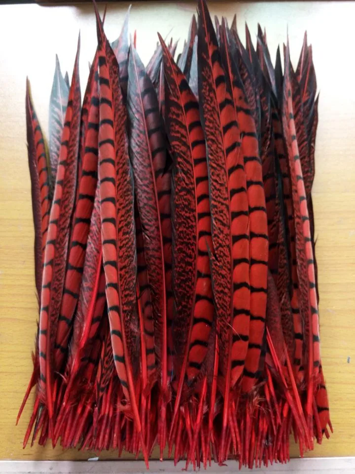 Wholesale 10 / lot 30-35cm red Natural pheasant feather, DIY jewelry decoration