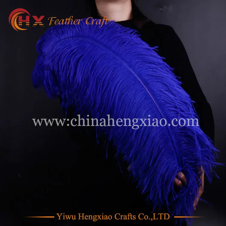 Wholesale Hard rod 10pcs/lot natural Royal Blue Ostrich Feathers 15-75cm /6-30