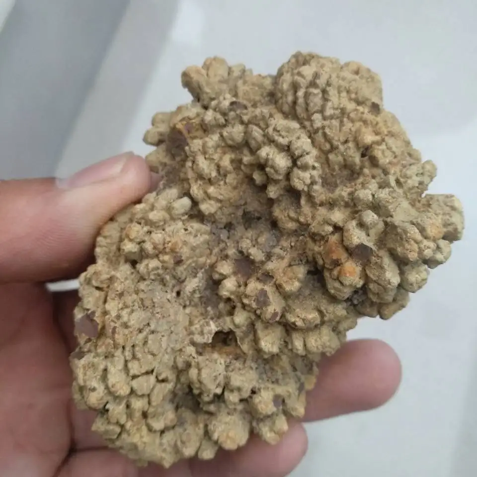 a pack  100g dinosaur poop, Dinosaur Coprolite