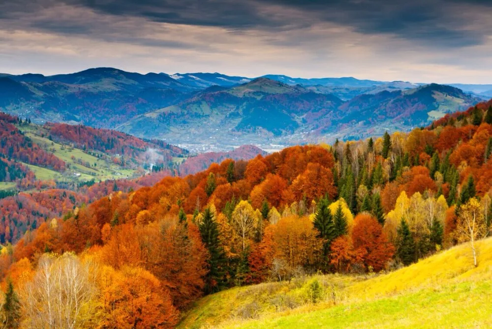 

Autumn in Switzerland The wooden puzzle 1000 pieces ersion jigsaw puzzle white card adult children's educational toys