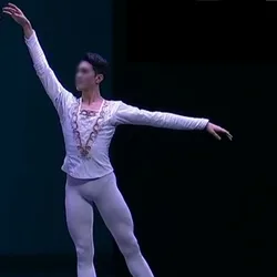 Customized Men White Ballet Dance Tunic Jackets,Professional Prince Classical Ballroom Costumes Retail Wholesale