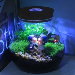 Novo brinquedo original e estranho, musgo iluminado, microgarrafa ecológica de vidro diy, vasos de plantas, ornamentos verdes criativos de plantas