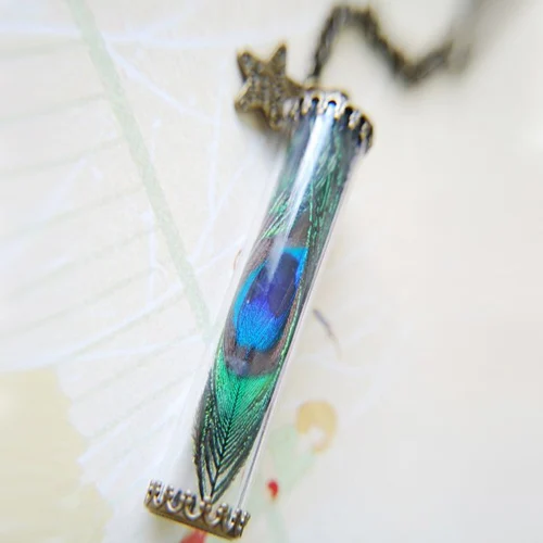 2PCS 60x12mm Glass Tube real peacock necklace terrarium necklace  Feather Terrarium Bird Pendant Magical Jewelry