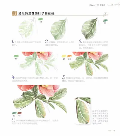 New Chinese pencil drawing book Flower Painting watercolor color pencil textbook with hundreds kinds of flowers