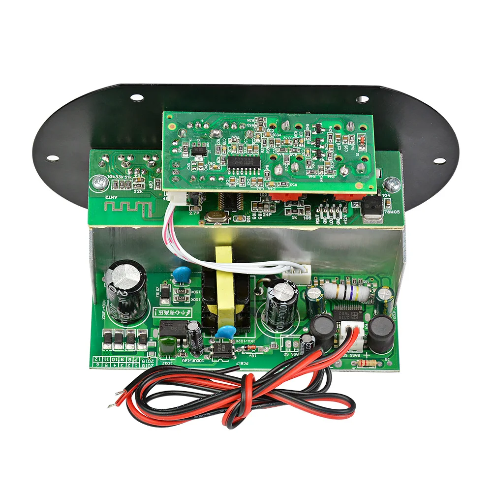 AIYIMA Mono Subwoofer Verstärker Bord Dual Mikrofon K Song Bluetooth Verstärker 30-150W Für 6-10 Zoll lautsprecher 220V 12V 24V