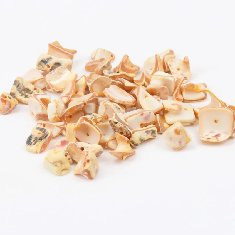 Natural Chippy Shell Irregular Loose Beads For Decoration Jewelry Making DIY Accessories 40g about 10-25mm