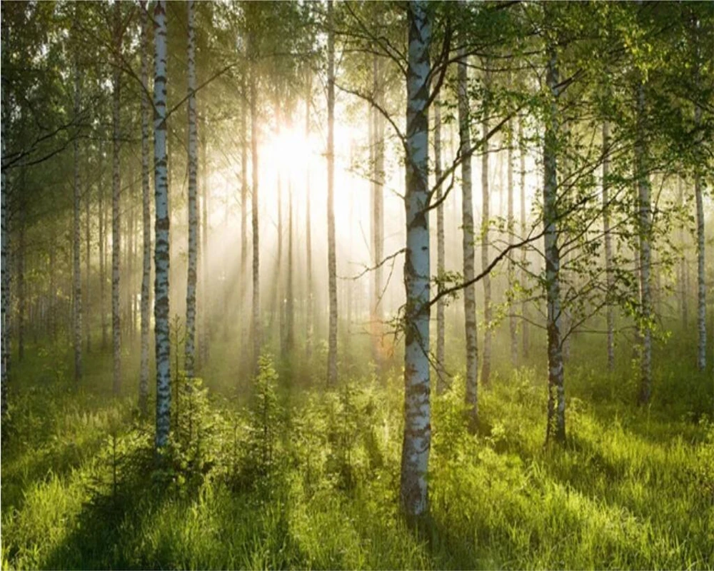 Benutzerdefinierte Tapete, sonniger Wald, großer Baum, natürliche Landschaft, Wohnzimmer, TV-Hintergrund, Heimdekoration, 3D-Tapete, Papier Peint