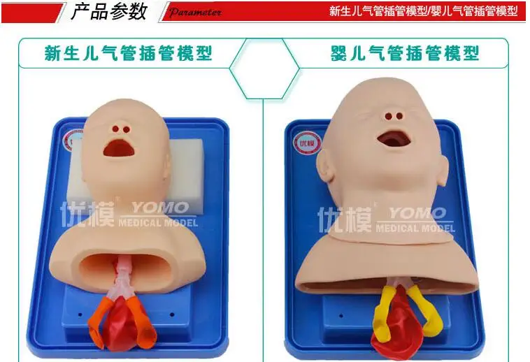 Neonatal/infant tracheal intubation training model Airway Management Model