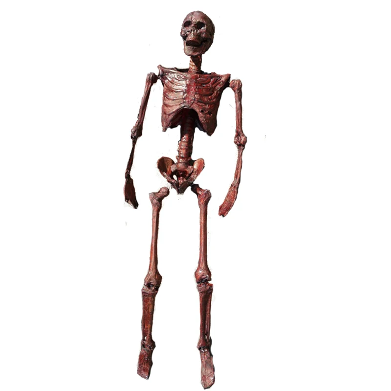 

165cm Pose N Stay Mummification Skeleton Halloween Decoration Plastic Human Skeleton