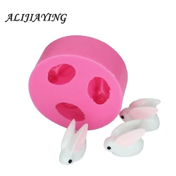 อีสเตอร์กระต่ายน่ารักแม่พิมพ์ซิลิโคนช็อกโกแลต Fondant เค้กตกแต่งเครื่องมือ Polymer ครัวเบเกอรี่อุปกรณ์เสริม DY0006