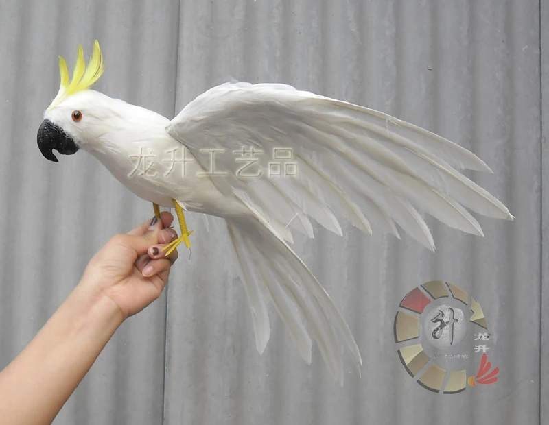 large 42x60cm white feathers cockatoo parrot ,spreading wings,Handmade model,polyethylene& feathers parrot decoration toy w3971