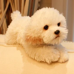 Cute Soft Animal Maltese Dog Plush Toy Mini Stuffed Lying Animals Pet Dogs Doll Baby Gift Car Decoration 35x12x14cm
