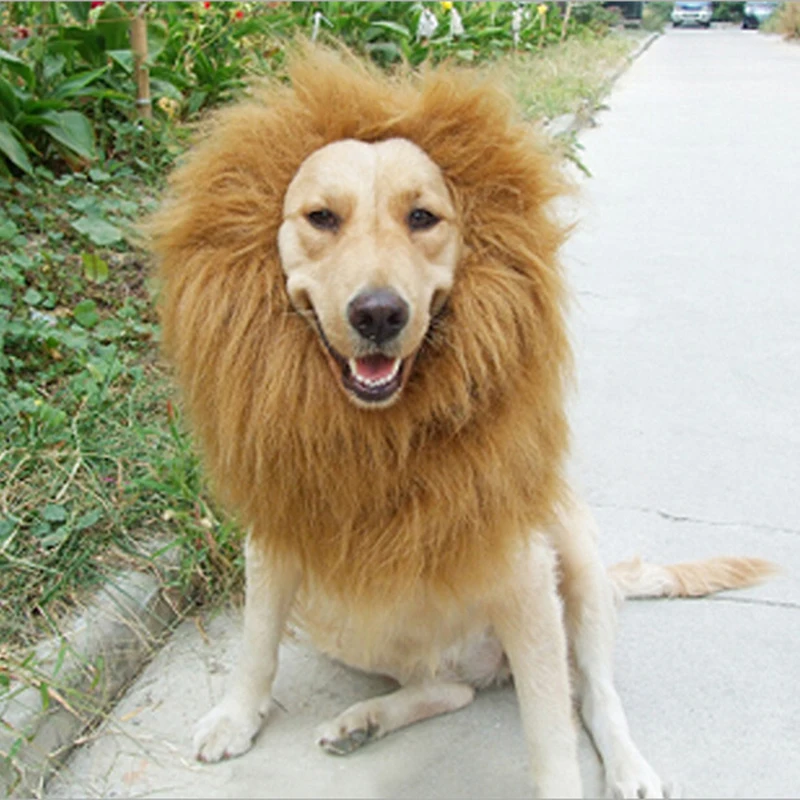 Cute Pet Dog Cat Cosplay Clothes Transfiguration Costume Lion Mane Warm Wig Large Dog Party Decoration With Ear Pet Accessories